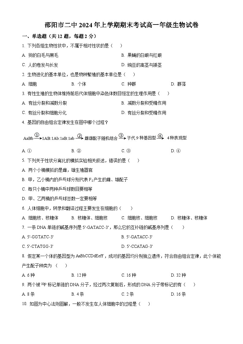 湖南省邵阳市大祥区邵阳市第二中学2023-2024学年高一下学期6月期末生物试题 Word版无答案第1页