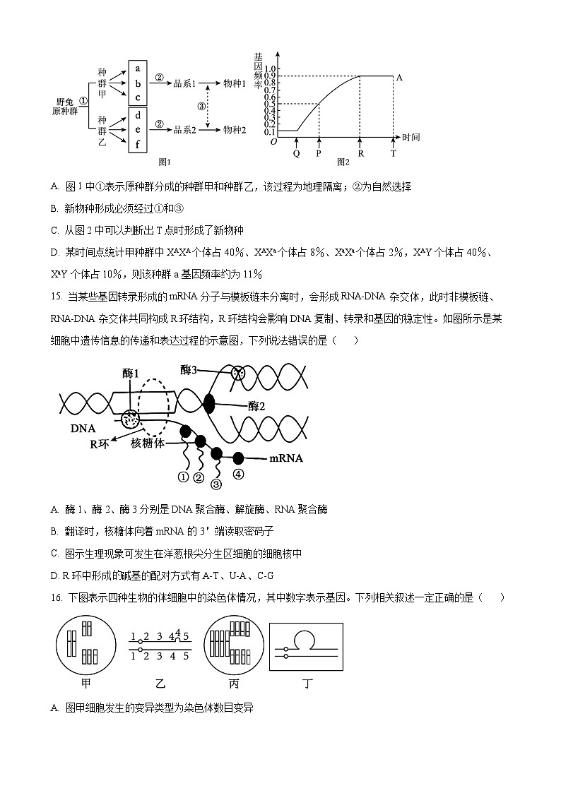 湖南省邵阳市大祥区邵阳市第二中学2023-2024学年高一下学期6月期末生物试题 Word版无答案第3页
