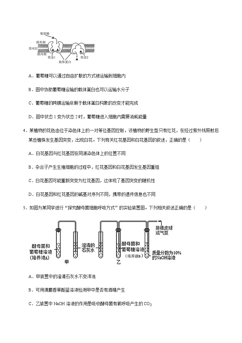 湖南省岳阳市岳阳县第一中学2023-2024学年高一下学期6月月考生物学试题(含答案)第2页