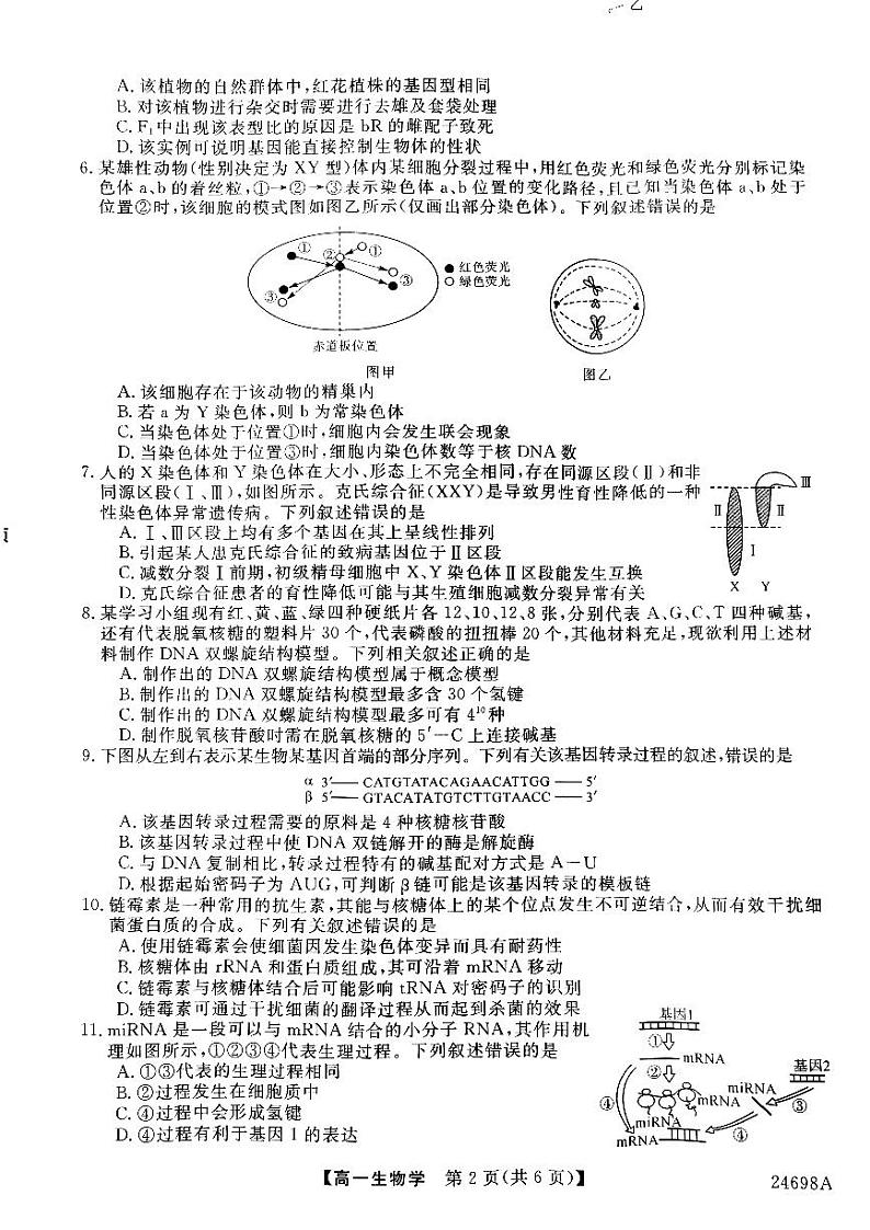 山西省临汾市金科2023-2024学年高一下学期期末联考生物试题02