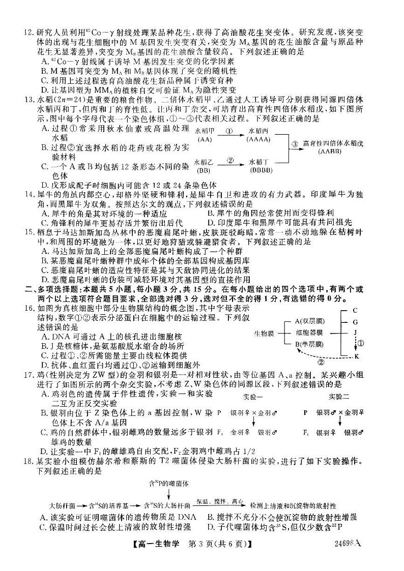 山西省临汾市金科2023-2024学年高一下学期期末联考生物试题03