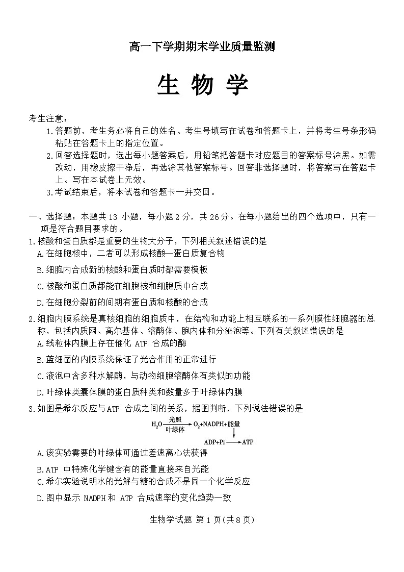 河南省濮阳市南乐县豫北名校2023-2024学年高一下学期7月期末生物试题第1页