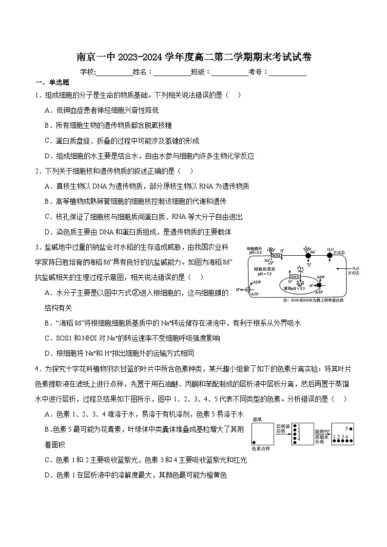 江苏省南京市第一中学2023-2024学年高二下学期期末考试生物试题01