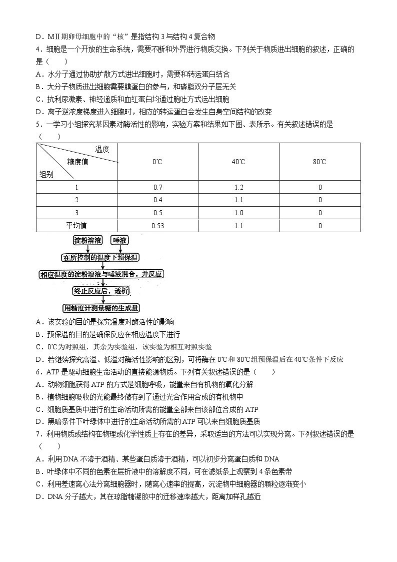 河北省沧州市2023-2024学年高二下学期7月期末教学质量监测生物试题第2页
