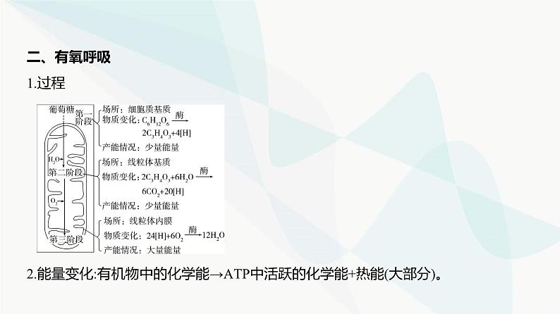 高考生物(山东专用)复习专题5细胞呼吸教学课件第5页