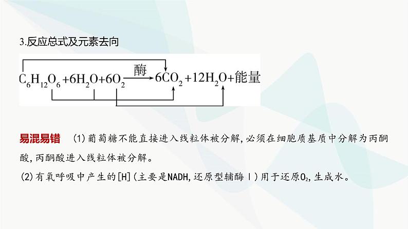 高考生物(山东专用)复习专题5细胞呼吸教学课件第6页