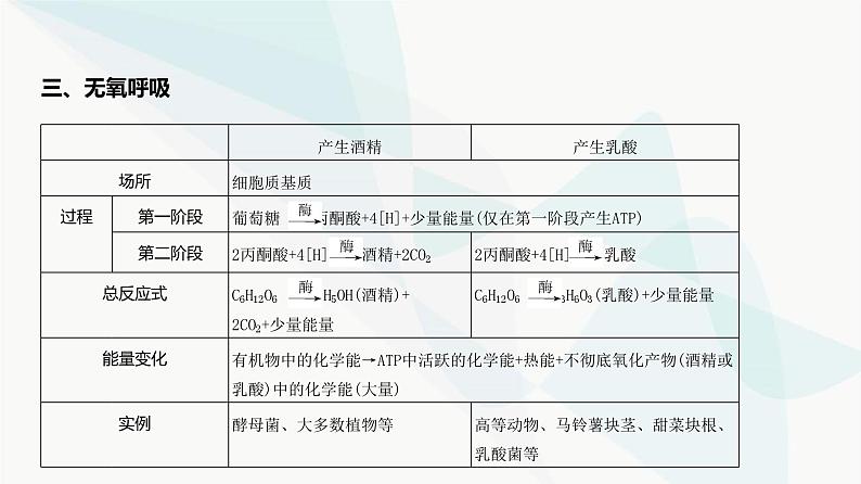 高考生物(山东专用)复习专题5细胞呼吸教学课件第8页