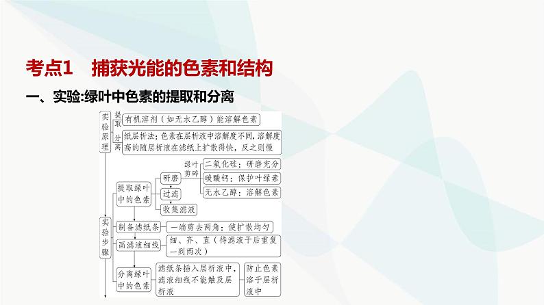 高考生物(山东专用)复习专题6光合作用教学课件第2页