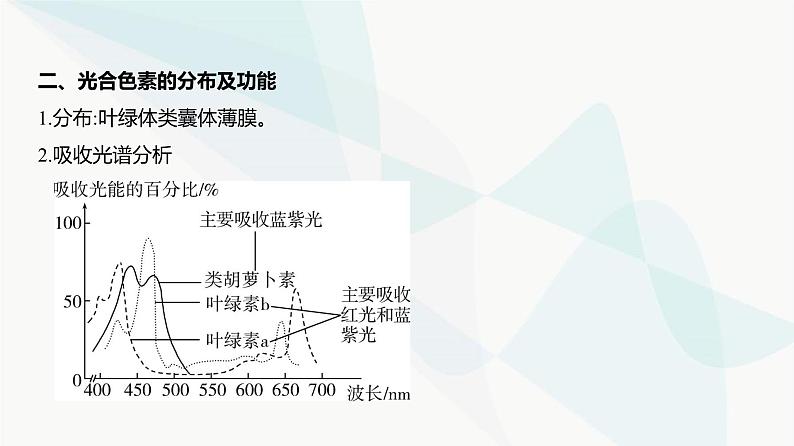 高考生物(山东专用)复习专题6光合作用教学课件第4页