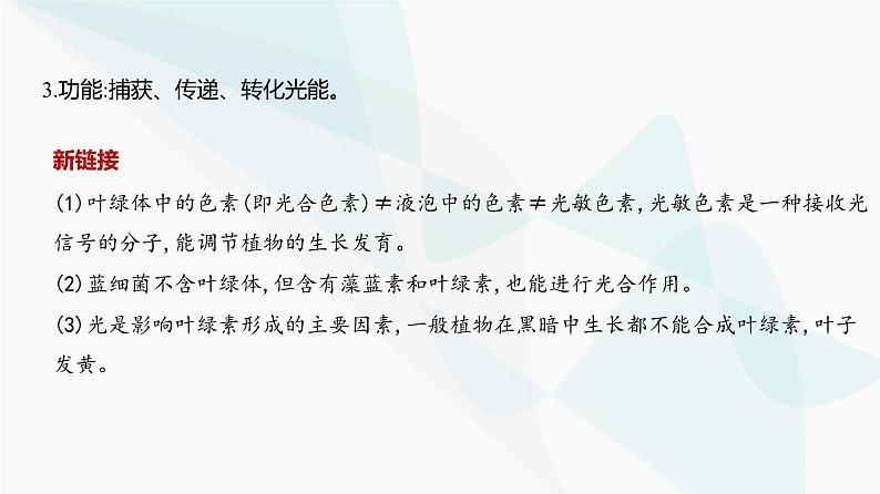 高考生物(山东专用)复习专题6光合作用教学课件第5页