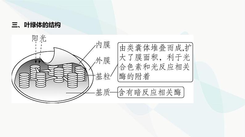 高考生物(山东专用)复习专题6光合作用教学课件第6页