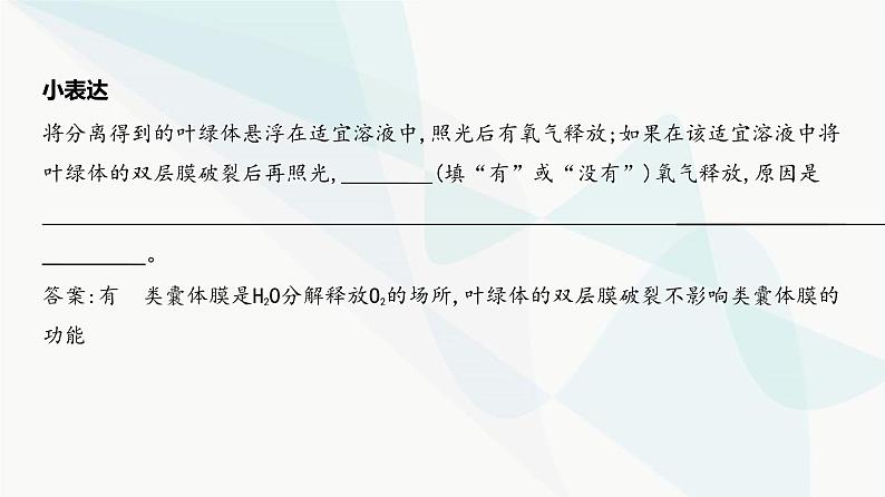 高考生物(山东专用)复习专题6光合作用教学课件第8页