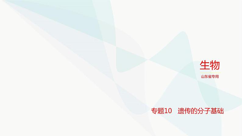 高考生物(山东专用)复习专题10遗传的分子基础教学课件第1页
