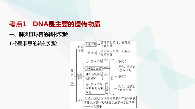 高考生物(山东专用)复习专题10遗传的分子基础教学课件第2页