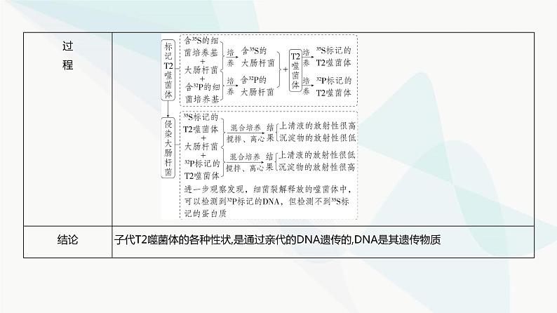 高考生物(山东专用)复习专题10遗传的分子基础教学课件第6页