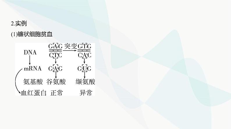 高考生物(山东专用)复习专题11生物的变异与进化教学课件第3页