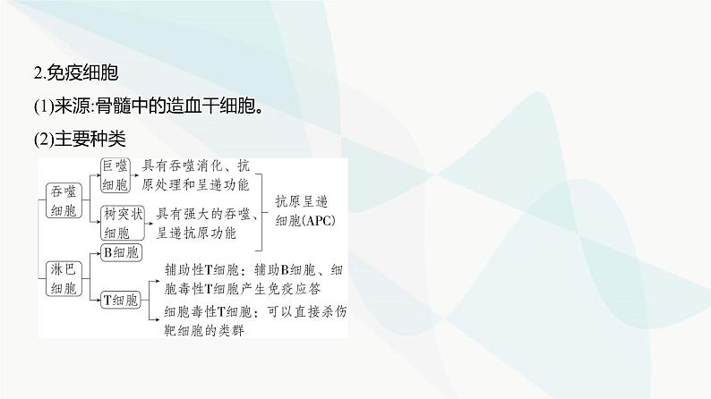 高考生物(山东专用)复习专题15免疫调节教学课件03