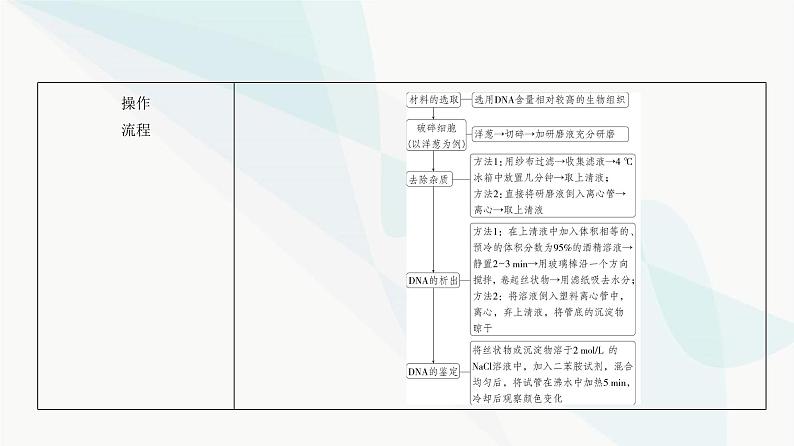 高考生物(山东专用)复习专题22基因工程教学课件08