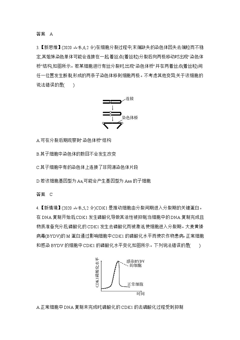 高考生物(山东专用)复习专题7细胞的生命历程练习含答案第2页
