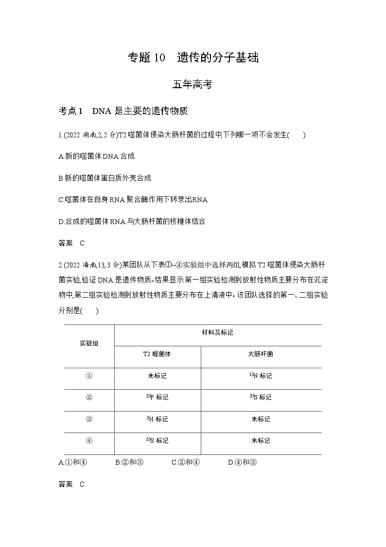 高考生物(山东专用)复习专题10遗传的分子基础练习含答案第1页