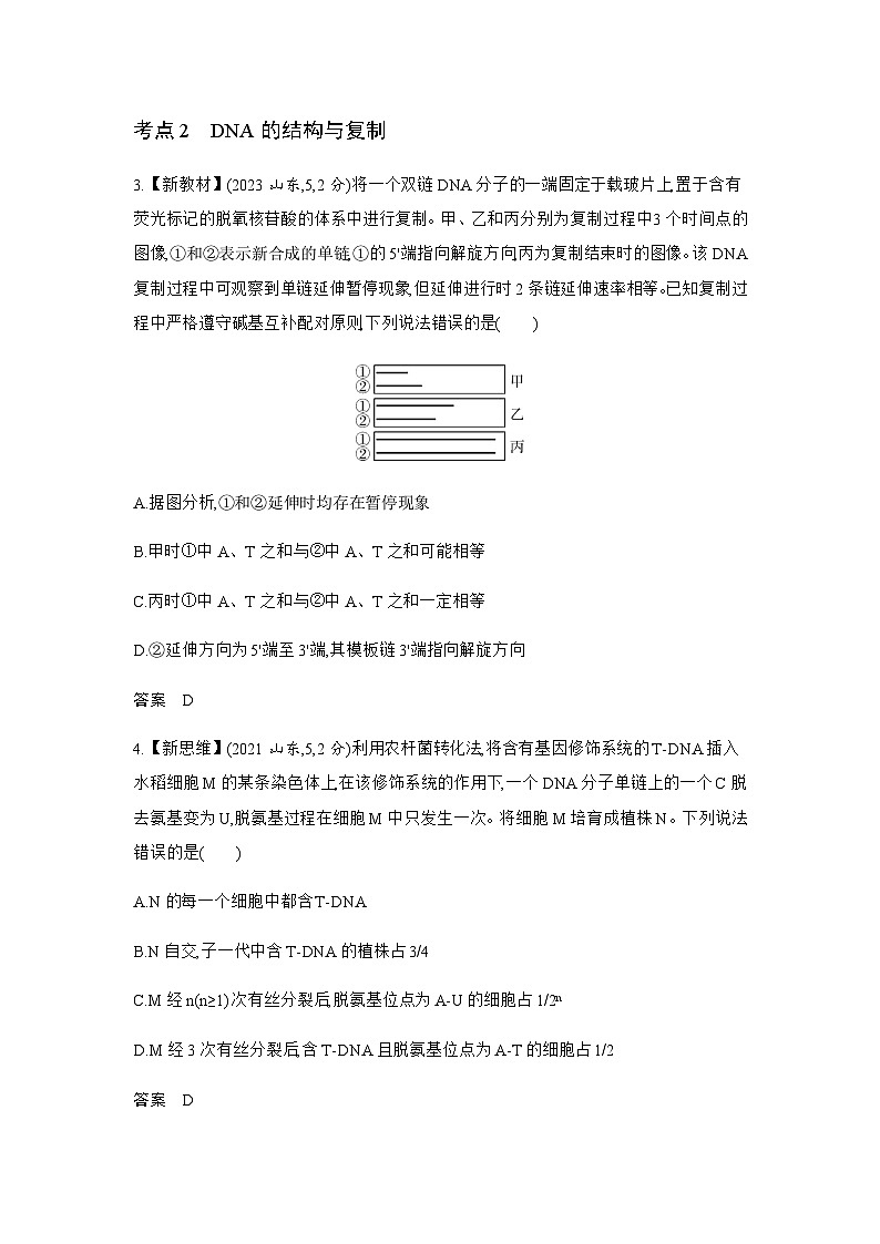 高考生物(山东专用)复习专题10遗传的分子基础练习含答案第2页