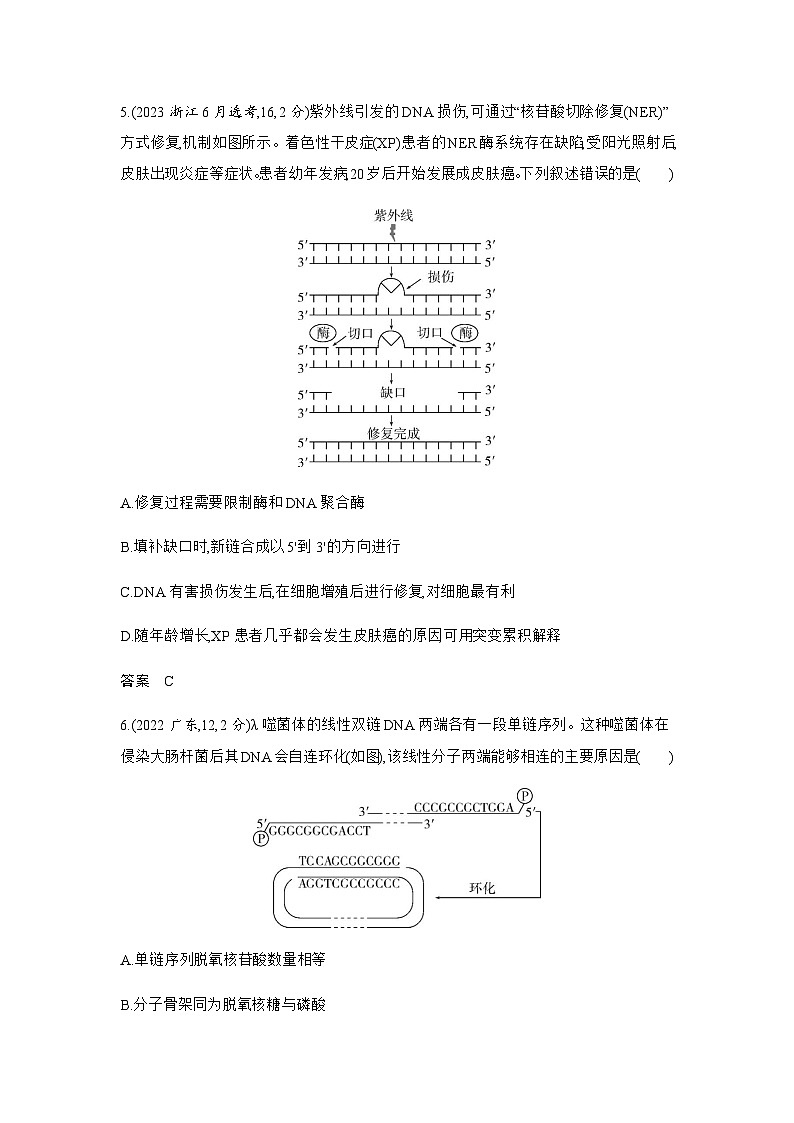 高考生物(山东专用)复习专题10遗传的分子基础练习含答案第3页
