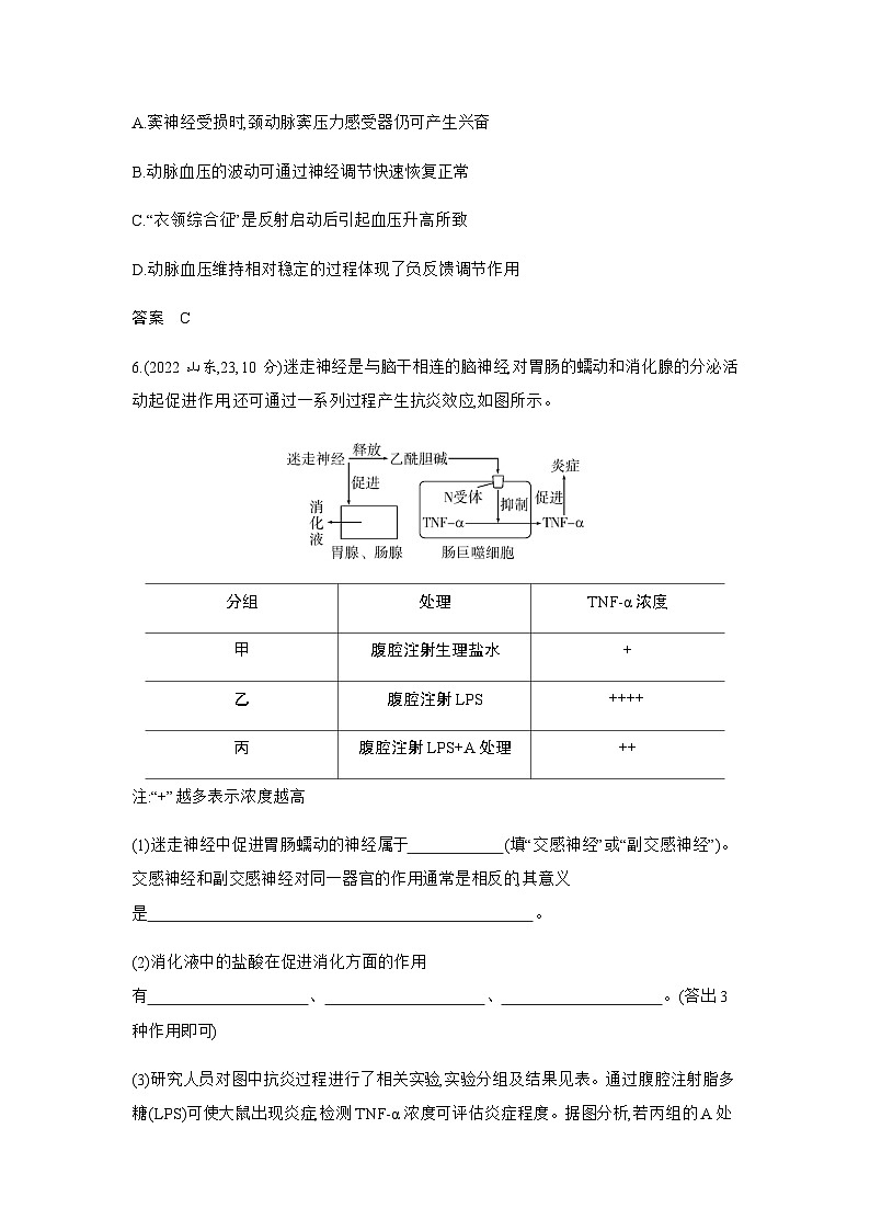 高考生物(山东专用)复习专题13神经调节练习含答案第3页