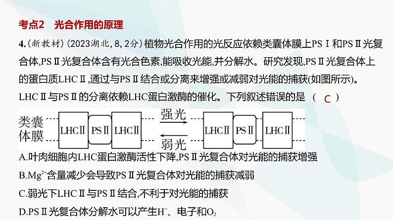 高考生物(山东专用)复习专题6光合作用练习课件第5页