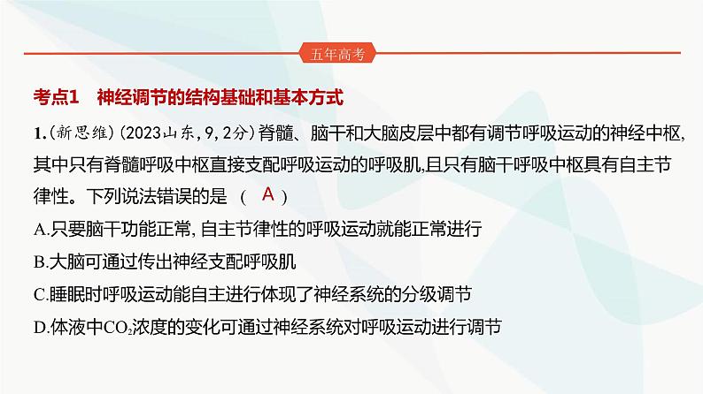 高考生物(山东专用)复习专题13神经调节练习课件02