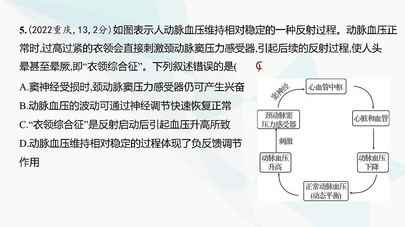 高考生物(山东专用)复习专题13神经调节练习课件06