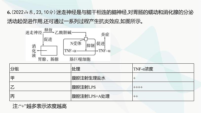 高考生物(山东专用)复习专题13神经调节练习课件07