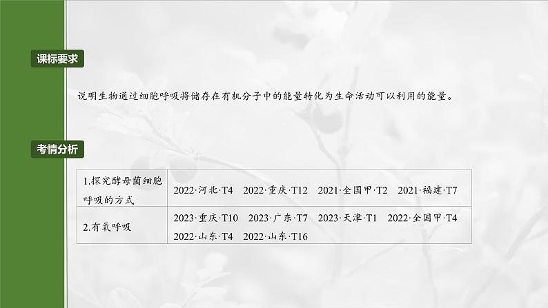 第三单元 第十三课时 细胞呼吸的方式和有氧呼吸-2025年高考生物大一轮复习课件02