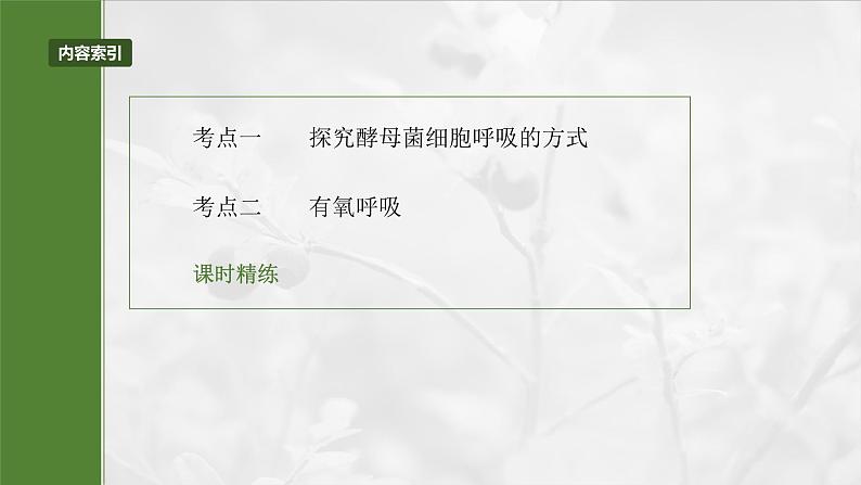 第三单元 第十三课时 细胞呼吸的方式和有氧呼吸-2025年高考生物大一轮复习课件03