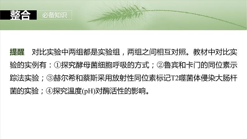 第三单元 第十三课时 细胞呼吸的方式和有氧呼吸-2025年高考生物大一轮复习课件07
