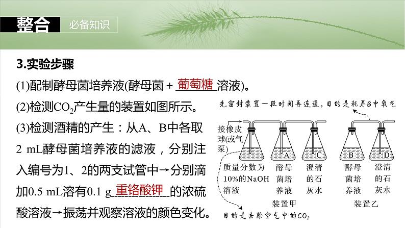 第三单元 第十三课时 细胞呼吸的方式和有氧呼吸-2025年高考生物大一轮复习课件08
