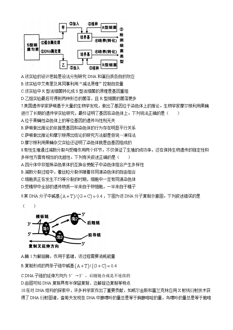 福建省龙岩市2023-2024学年高一下学期7月期末教学质量检查生物试题(无答案)第2页