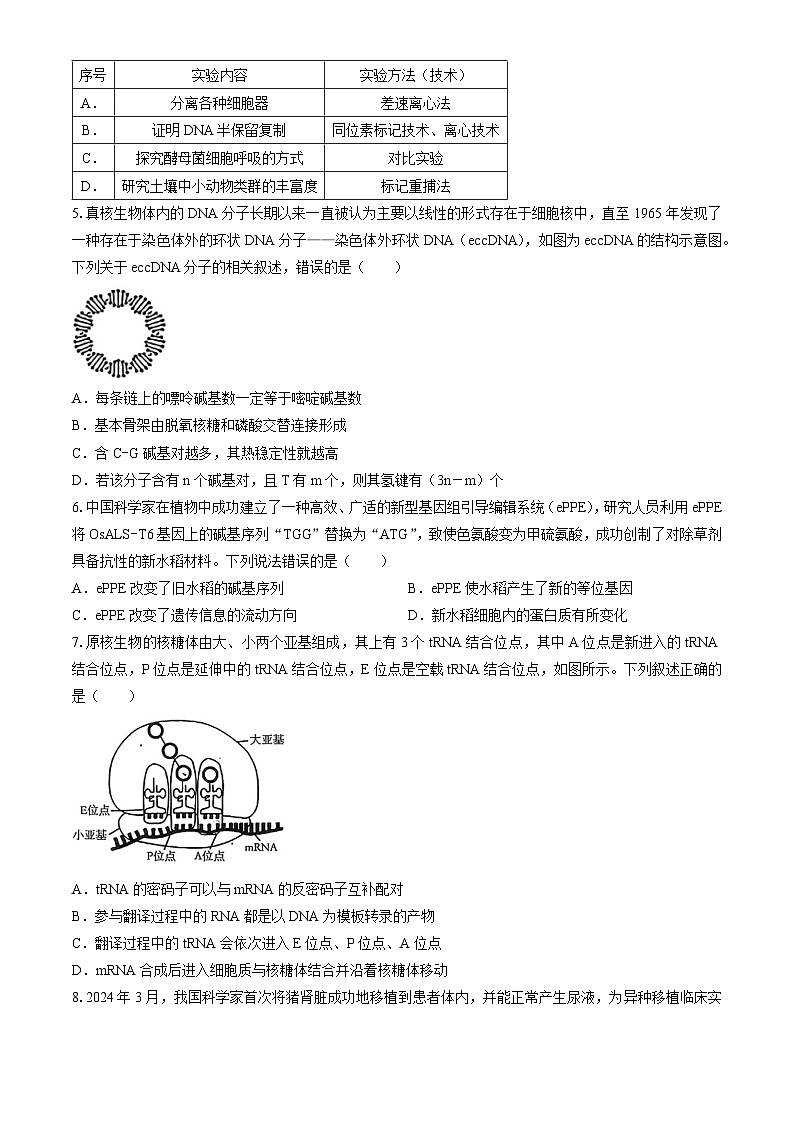 广东省惠州市2023-2024学年高三下学期7月期末调研生物试题(无答案)第2页