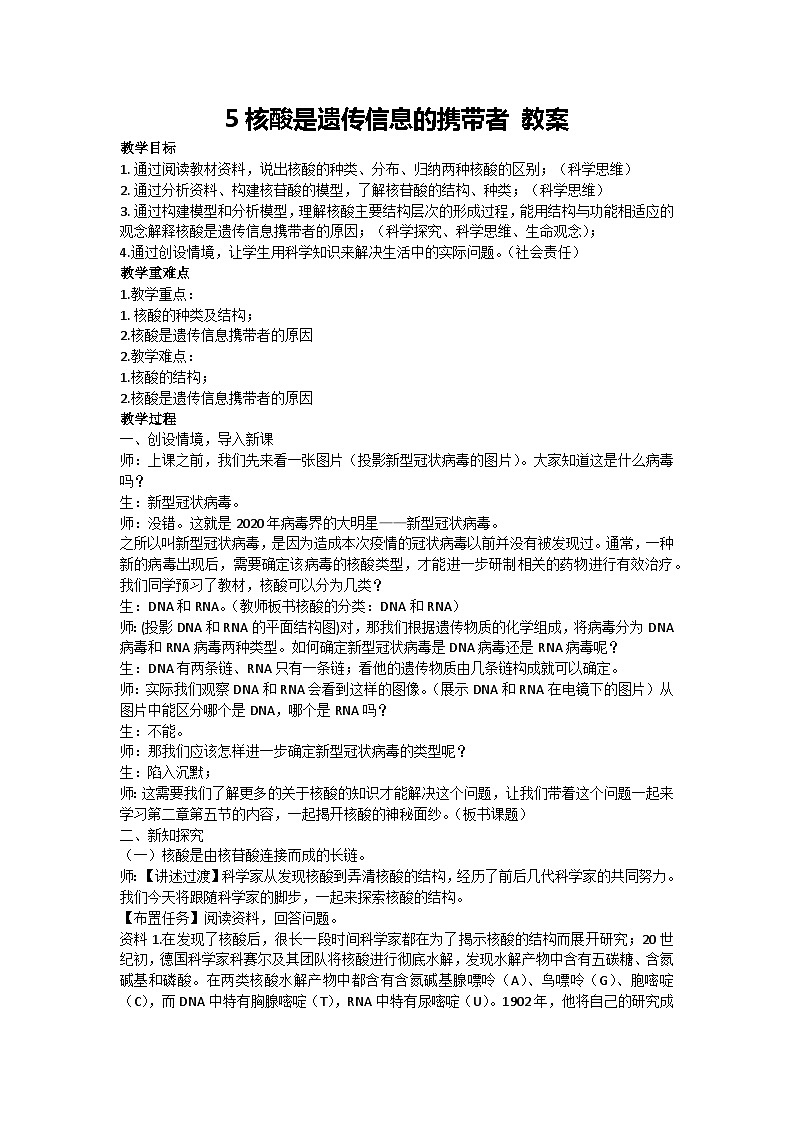 2.5 核酸是遗传信息的携带者 教案 2024-2025学年高一上学期生物人教版必修101