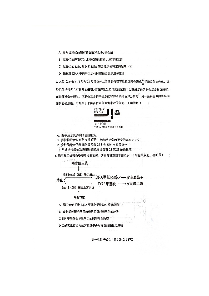 天津市河东区2023-2024学年高一下学期7月期末生物试题第3页