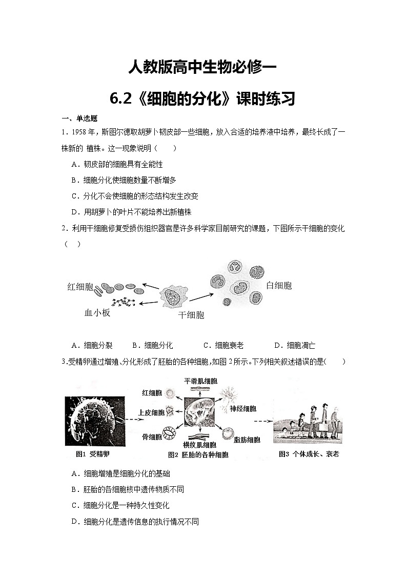 人教版高中生物必修一6.2《细胞的分化》课时练习第1页