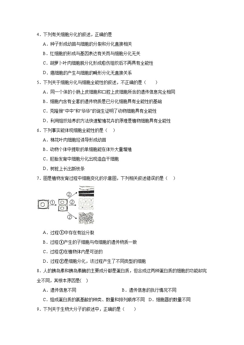 人教版高中生物必修一6.2《细胞的分化》课时练习第2页