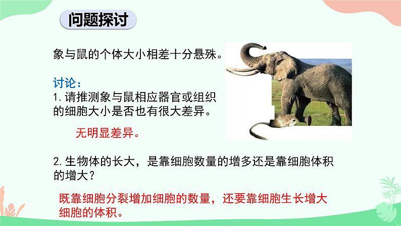 【核心素养】人教版高中生物必修一6.1《细胞的增殖》课件+课时练习+教案(含教学反思)03