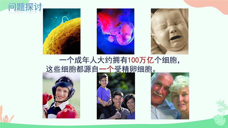 【核心素养】人教版高中生物必修一6.1《细胞的增殖》课件+课时练习+教案(含教学反思)04