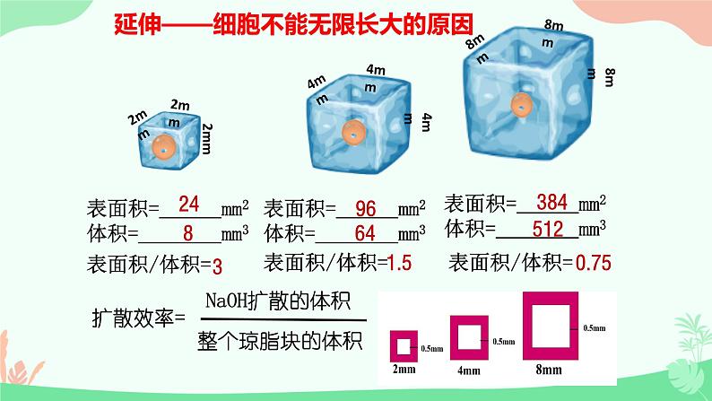 【核心素养】人教版高中生物必修一6.1《细胞的增殖》课件+课时练习+教案(含教学反思)06