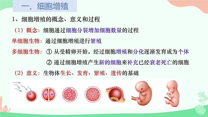 【核心素养】人教版高中生物必修一6.1《细胞的增殖》课件+课时练习+教案(含教学反思)08