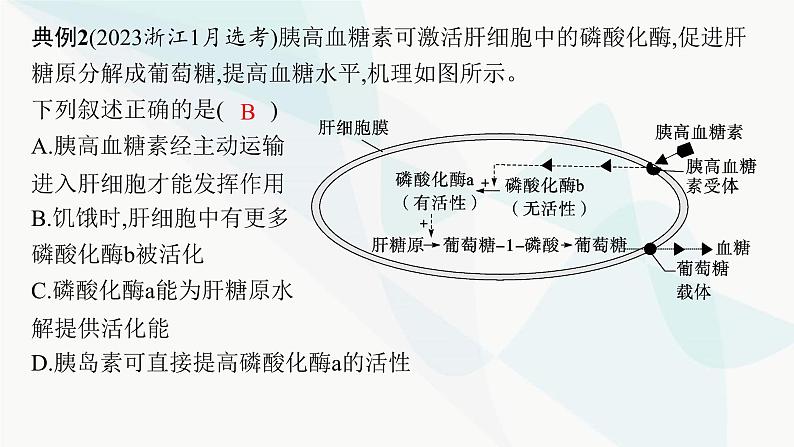 浙科版高考生物一轮复习命题热点突破6体液调节课件第8页