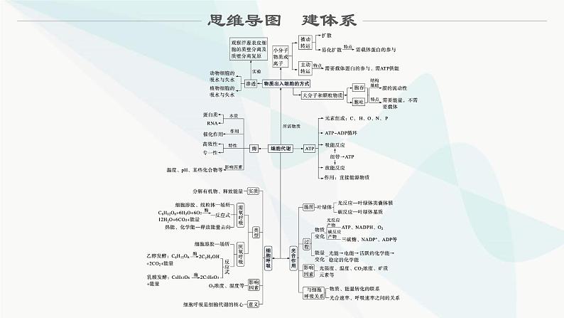 浙科版高考生物一轮复习第2单元细胞的代谢第5讲ATP与酶课件02