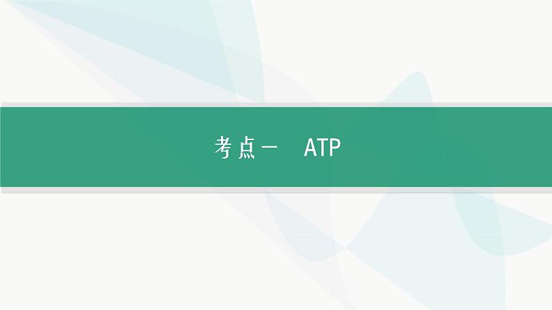 浙科版高考生物一轮复习第2单元细胞的代谢第5讲ATP与酶课件05