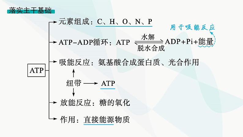 浙科版高考生物一轮复习第2单元细胞的代谢第5讲ATP与酶课件06