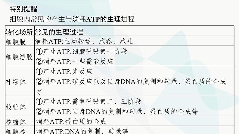 浙科版高考生物一轮复习第2单元细胞的代谢第5讲ATP与酶课件07